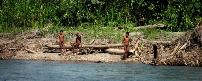 Amazonie : la tribu Mascho Pire cernée par la déforestation