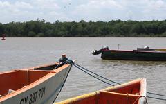 Le monde grandeur nature : les marais de Kaw en Guyane