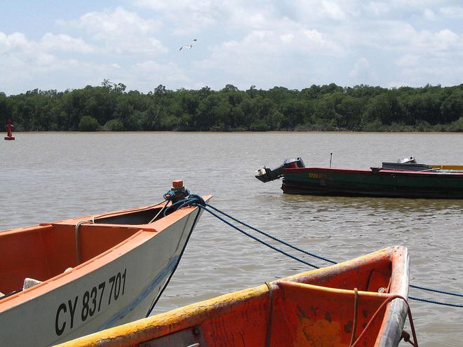 Le monde grandeur nature : les marais de Kaw en Guyane