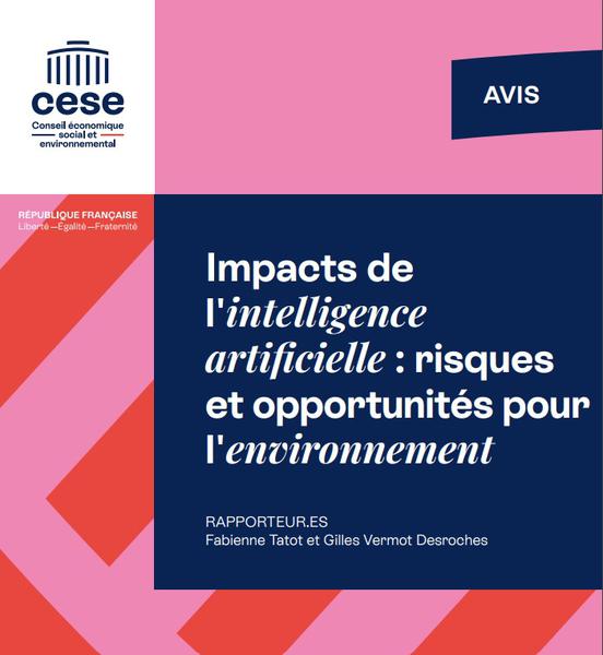 Le Conseil économique, social et environnemental propose neuf mesures pour des IA écoresponsables