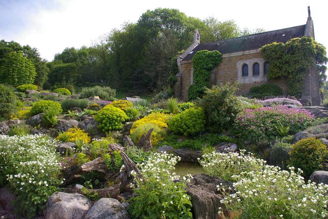 Les plantes ont-elles des droits ?