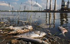 Que cache cette pollution brutale et fatale d’une rivière en Ukraine ?