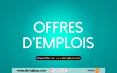 Offre d’emploi : Ingénieur(e) Avant-Vente Réseaux Électriques  (Octobre 2024)