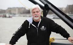 Paul Watson : "C'est le seul qui est allé défendre les baleines dans les eaux internationales" Michel Blazy