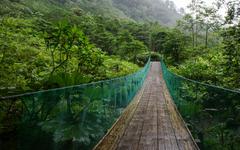 Le monde grandeur nature : le Monteverde au Costa Rica