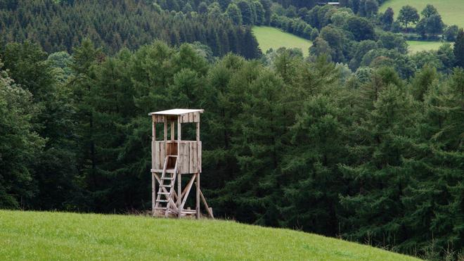 Interpellez votre député·e pour voter contre un amendement visant les associations qui luttent contre les abus de la chasse dans le PLF 2025 !