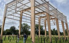 Une forêt sans pluie expérimentée près de Bordeaux pour mesurer l’adaptation des arbres au changement climatique