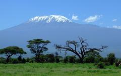 Le Kilimandjaro face au réchauffement climatique