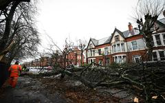 Tempête Darragh: 15.000 clients sans électricité en Bretagne et Normandie