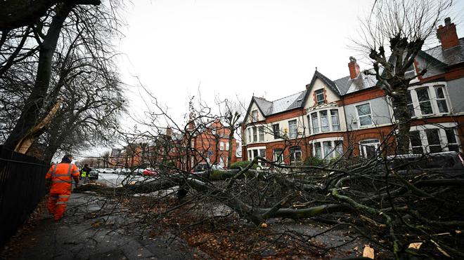 Tempête Darragh: 15.000 clients sans électricité en Bretagne et Normandie