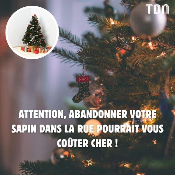 Attention, abandonner votre sapin dans la rue pourrait vous coûter cher !