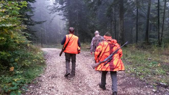 Chasse : la Ville de Grenoble se prononce en faveur d’une pratique plus encadrée et protectrice