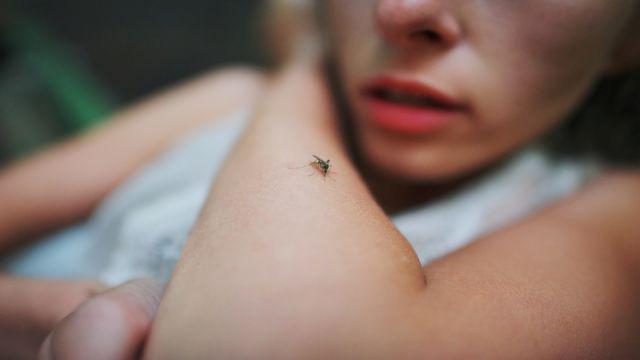Les raisons pour lesquelles vous pourriez être un aimant à moustiques