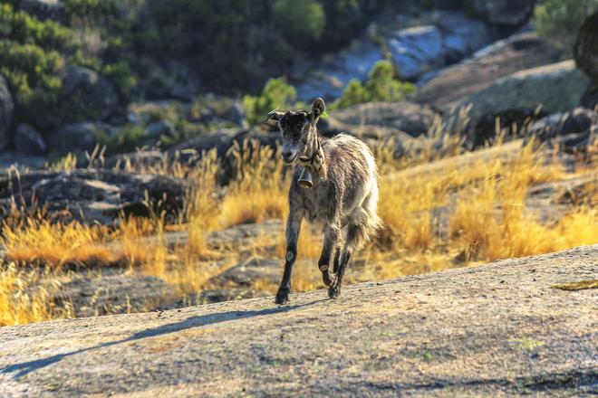 Partir dans ce Portugal des parcs et réserves naturelles