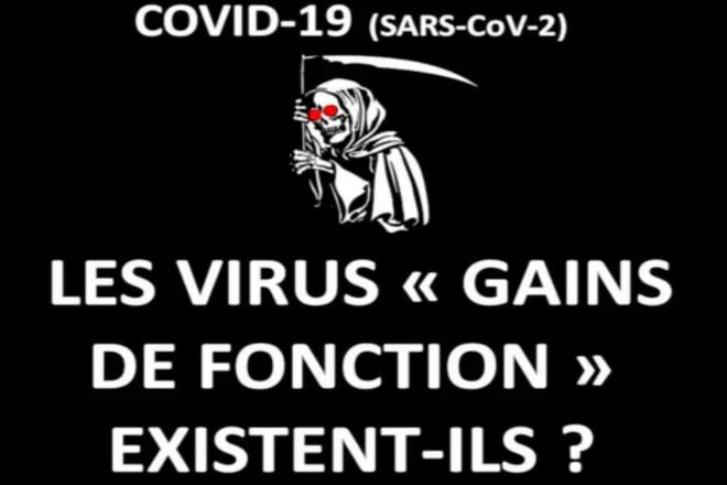 Virus : Les gains de fonction existent-ils ?