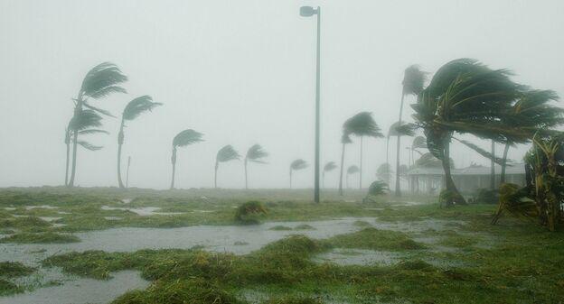 Catastrophes naturelles : 2024, année de pertes historiques