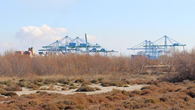 Pour réindustrialiser le golfe de Fos, l’État va encore détruire des espaces naturels