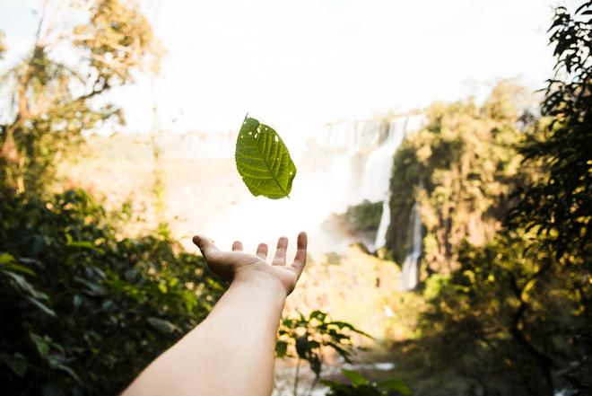 Un module de formation à la transition écologique pour les étudiant·es de licence 3