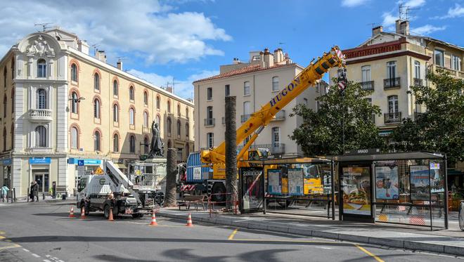 C’est fini ! Les palmiers de la place Arago à Perpignan ont été abattus