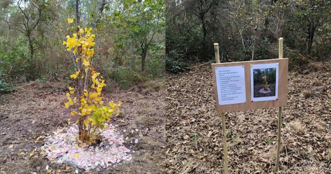 «Ça a été un choc» : un arbre funéraire volé en Loire-Atlantique, les proches du défunt dans l’incompréhension