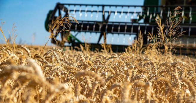 Entre exportations excessives et dépendance aux importations, le paradoxe de l’agriculture française