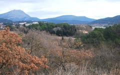 À Aix, la construction d’un quartier à la Constance prime sur les enjeux environnementaux