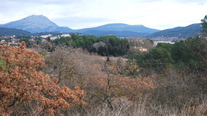 À Aix, la construction d’un quartier à la Constance prime sur les enjeux environnementaux