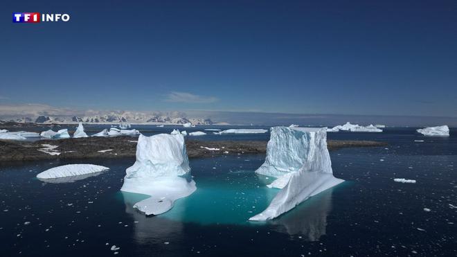 L'étendue de la banquise sur Terre n'a jamais été aussi basse