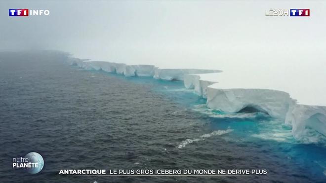 Antarctique : le plus gros iceberg du monde ne dérive plus