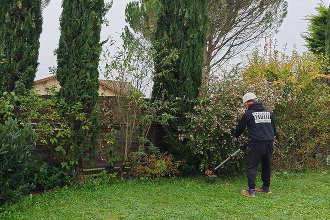 Attention aux amendes, la taille des haies est très réglementée au mois de mars