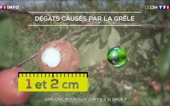 Grêlons : pourquoi sont-ils si gros ?