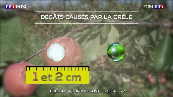 Grêlons : pourquoi sont-ils si gros ?