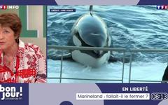 Marineland, fallait-il le fermer ?