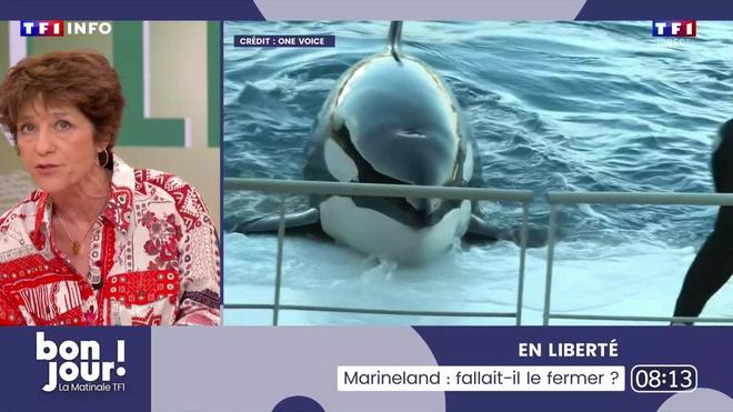 Marineland, fallait-il le fermer ?