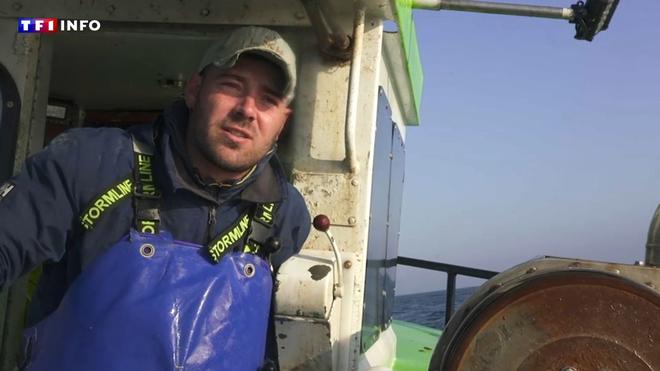 "Il va peut-être falloir songer à arrêter de pêcher les bulots": ces crustacés menacés par la température de l'eau
