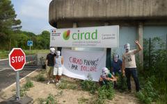 Montpellier : une nouvelle action pour dénoncer les liens entre le CIRAD et l’empire Bolloré
