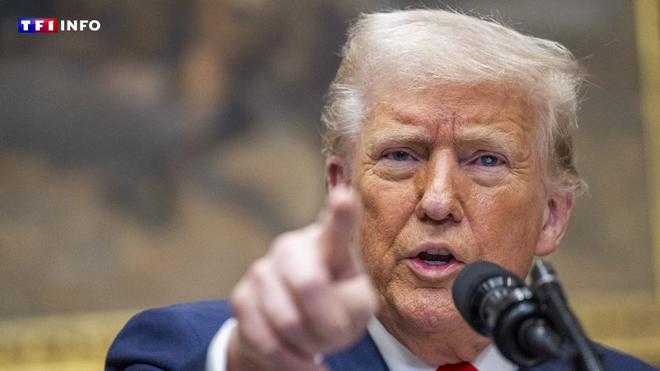 "Il exploite la situation à son avantage" : à quoi joue vraiment Trump après les frappes israéliennes en Iran ?
