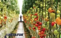 Made in kibboutz : Orbia Netafim célèbre 60 ans d’innovation dans l’irrigation de précision.
