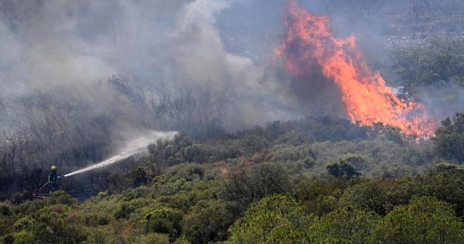 Feux de forêts : visualisez la carte des zones en danger