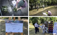 À Rennes, un laboratoire étudiera la place des arbres en ville à l’heure du changement climatique