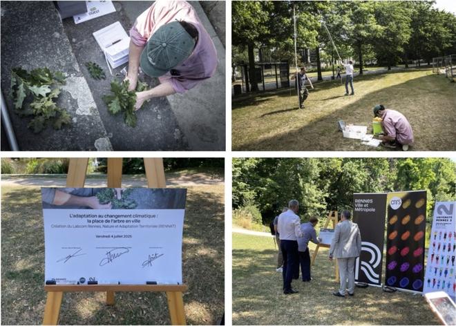 À Rennes, un laboratoire étudiera la place des arbres en ville à l’heure du changement climatique