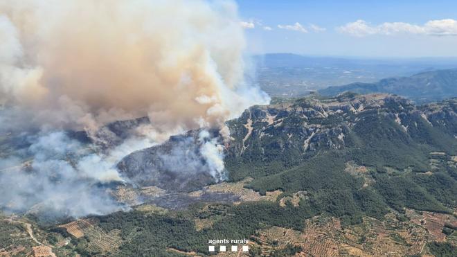 [EN DIRECT] Incendie en Catalogne : plus de 2900 hectares ravagés, la fumée visible jusqu’à Ibiza