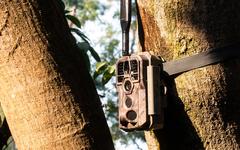 Caméras de Chasse: Top 10 des meilleurs modèles sur le marché