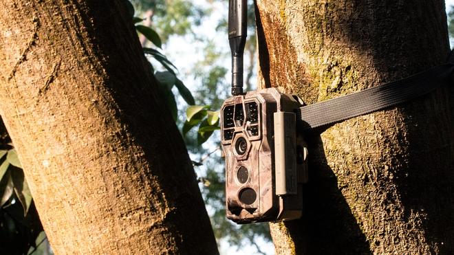 Caméras de Chasse: Top 10 des meilleurs modèles sur le marché