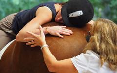 Médiation animale : Une proposition de loi pour reconnaitre, encadrer et développer cette pratique