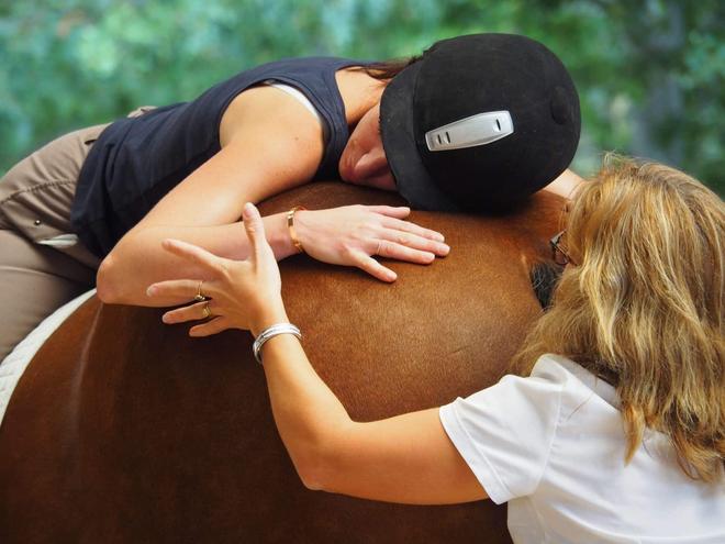 Médiation animale : Une proposition de loi pour reconnaitre, encadrer et développer cette pratique