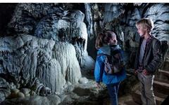 Bon plan Grottes de Han .. billets parc animalier à 22€ , Pass à 31€