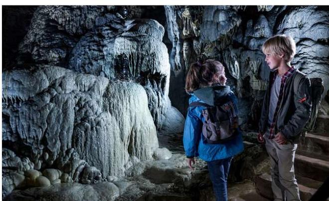 Bon plan Grottes de Han .. billets parc animalier à 22€ , Pass à 31€