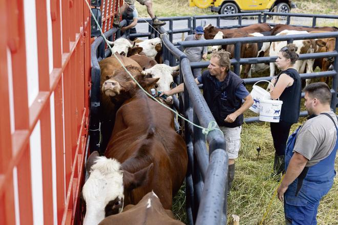 Épidémies, revenus, aides publiques… pourquoi la loi Duplomb n’éteint absolument pas les colères paysannes