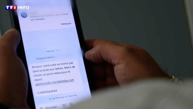 "500 SMS en l'espace de quelques minutes" : comment opèrent les arnaqueurs qui nous inondent de messages ?